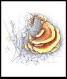 LONG Mushroom Log